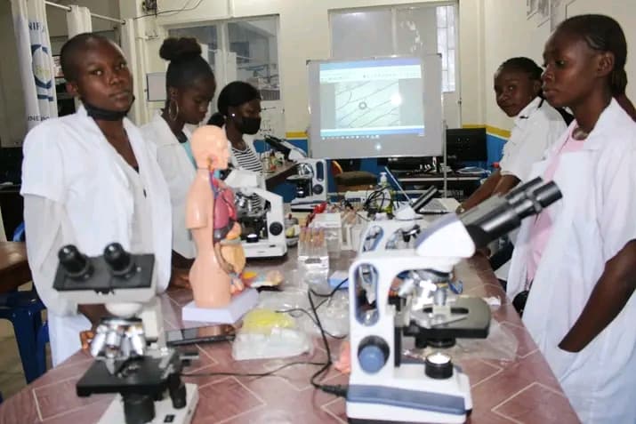 Travaux pratiques avec des microscopes en laboratoire